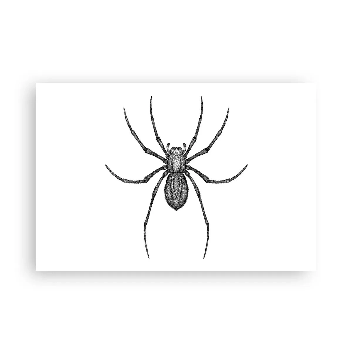 Plakát - Znepokojivá přesnost - 91x61 cm