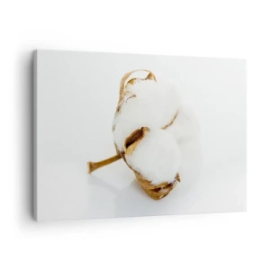 Obraz na plátně - Větev bavlny na světlém pozadí v minimalistickém pojetí - 70x50cm - Měkká od přírody - Moderní nástěnná dekorace do obývacího pokoje a ložnice ARTTOR