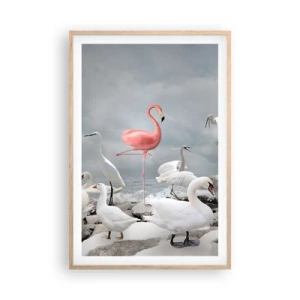 Plakát v rámu světlý dub - Kde jsem se tu vzal? - 61x91 cm