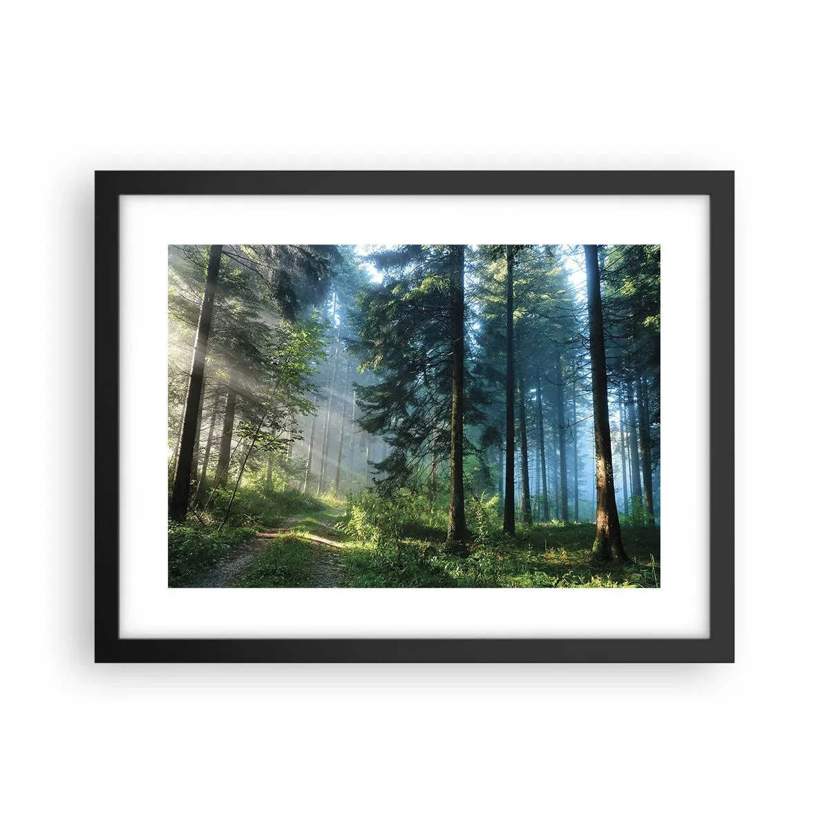 Plakát v černém rámu - Zářící za úsvitu - 40x30 cm