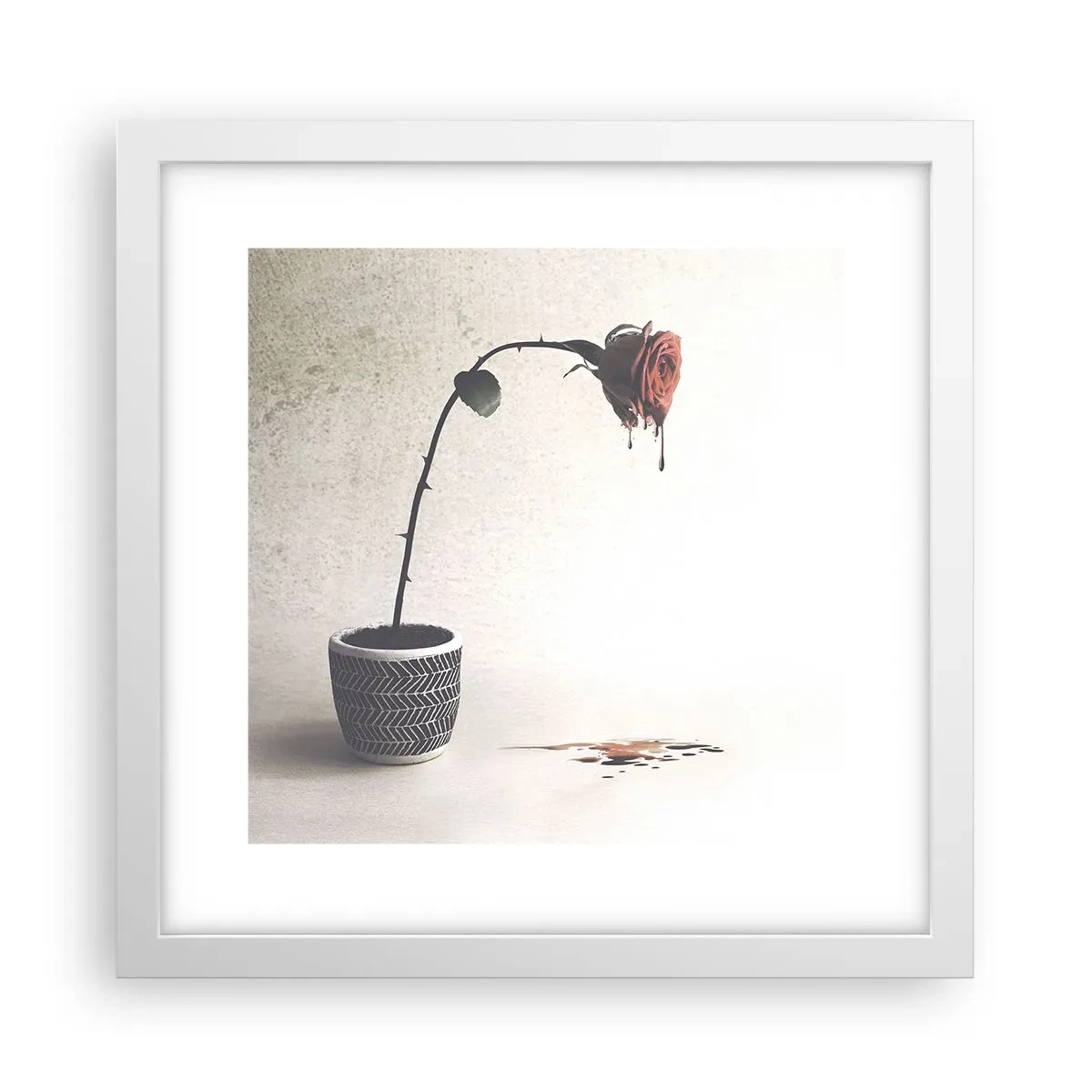 Plakát v bílém rámu - Rosa dolorosa - 30x30 cm