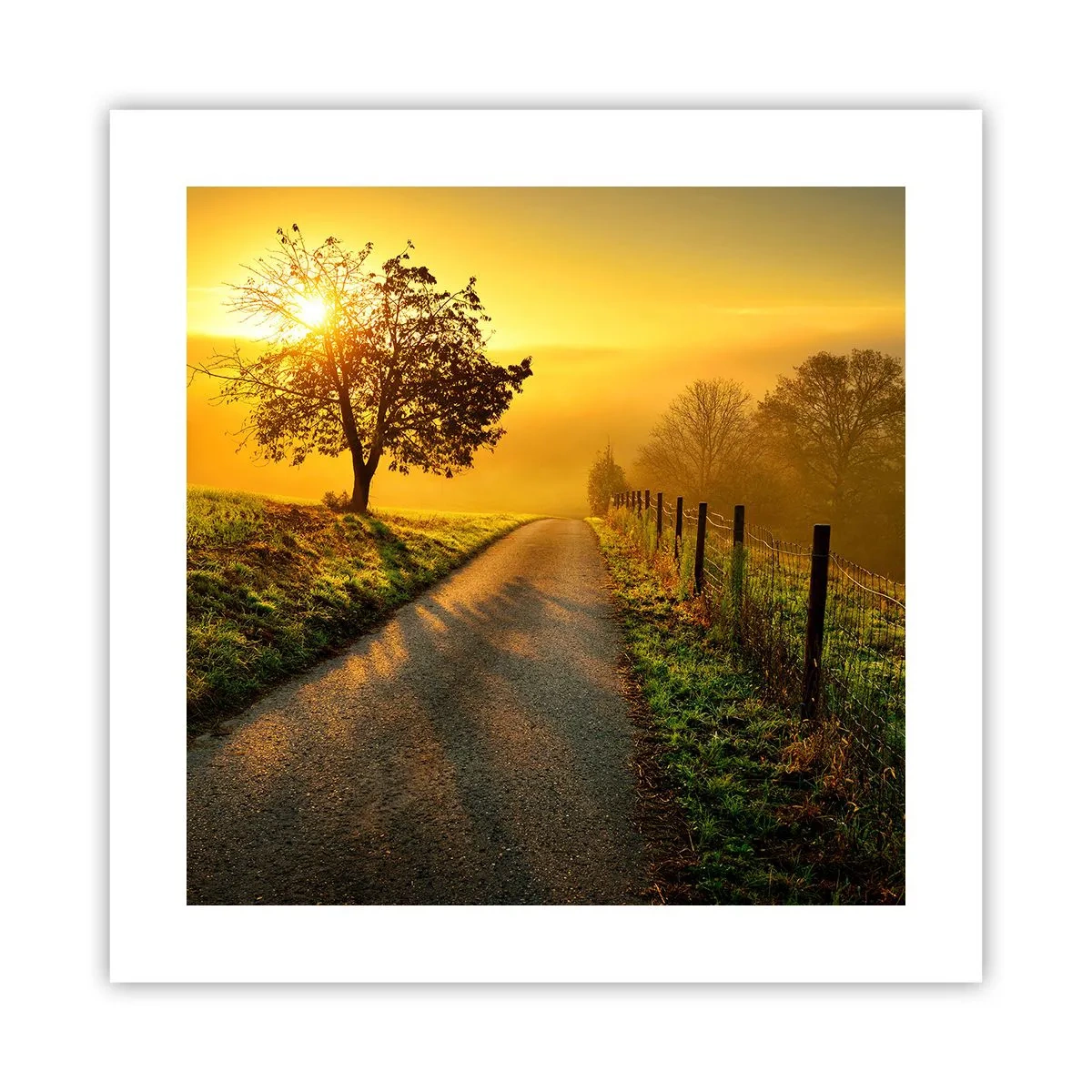 Plakát - Medové odpoledne - 40x40 cm