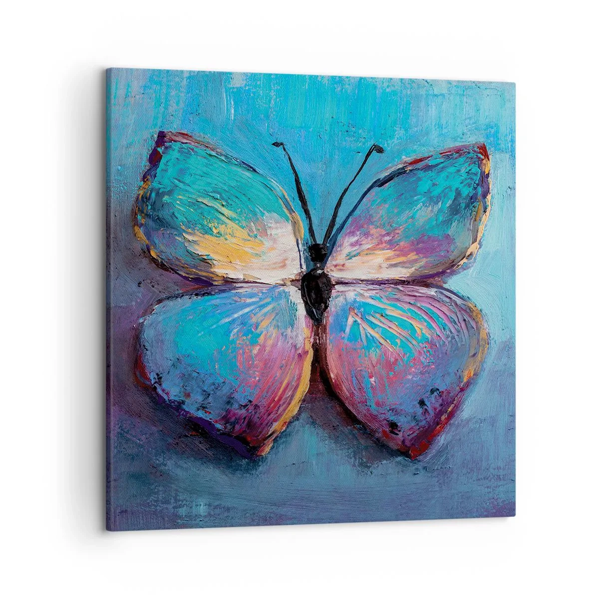 Obraz na plátně - V celé své kráse - 50x50 cm