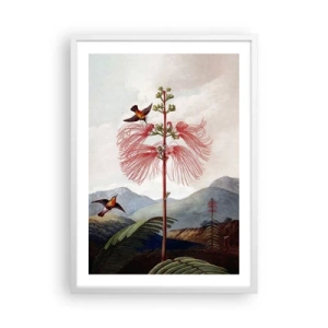 Plakát v bílém rámu - V tropickém ráji - 50x70 cm