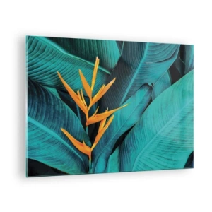 Obraz na skle - Exotická květina na pozadí velkých zelených listů. - 70x50cm - Rajský květ - Moderní nástěnná dekorace do obývacího pokoje a ložnice ARTTOR