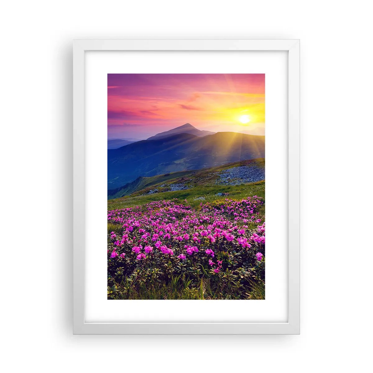 Plakát v bílém rámu - …A kolem voní kosodřevina a voní byliny - 30x40 cm