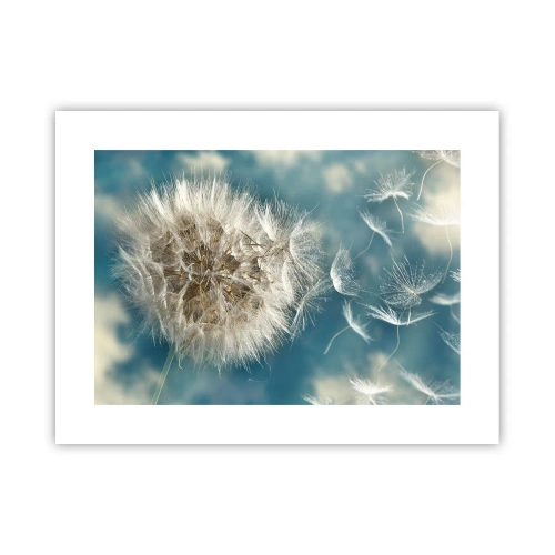 Plakát - Dech anděla - 40x30 cm