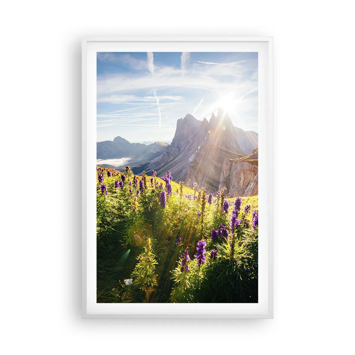 Plakát v bílém rámu - Tajemný život bylin - 61x91 cm