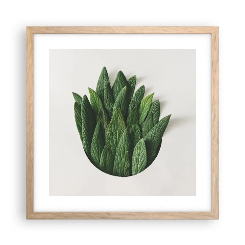 Plakát v rámu světlý dub - Neukojitelná zvědavost - 40x40 cm