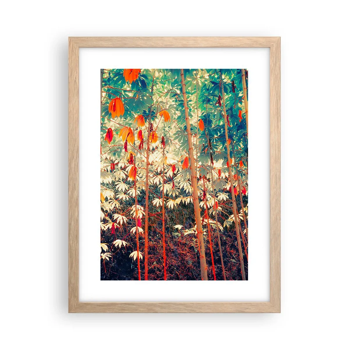 Plakát v rámu světlý dub - Tajný život listů - 30x40 cm