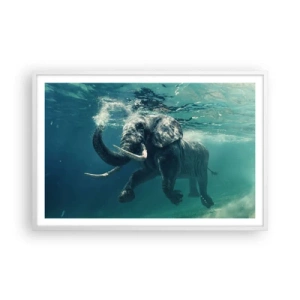 Plakát v bílém rámu - Všichni rádi plavou - 91x61 cm