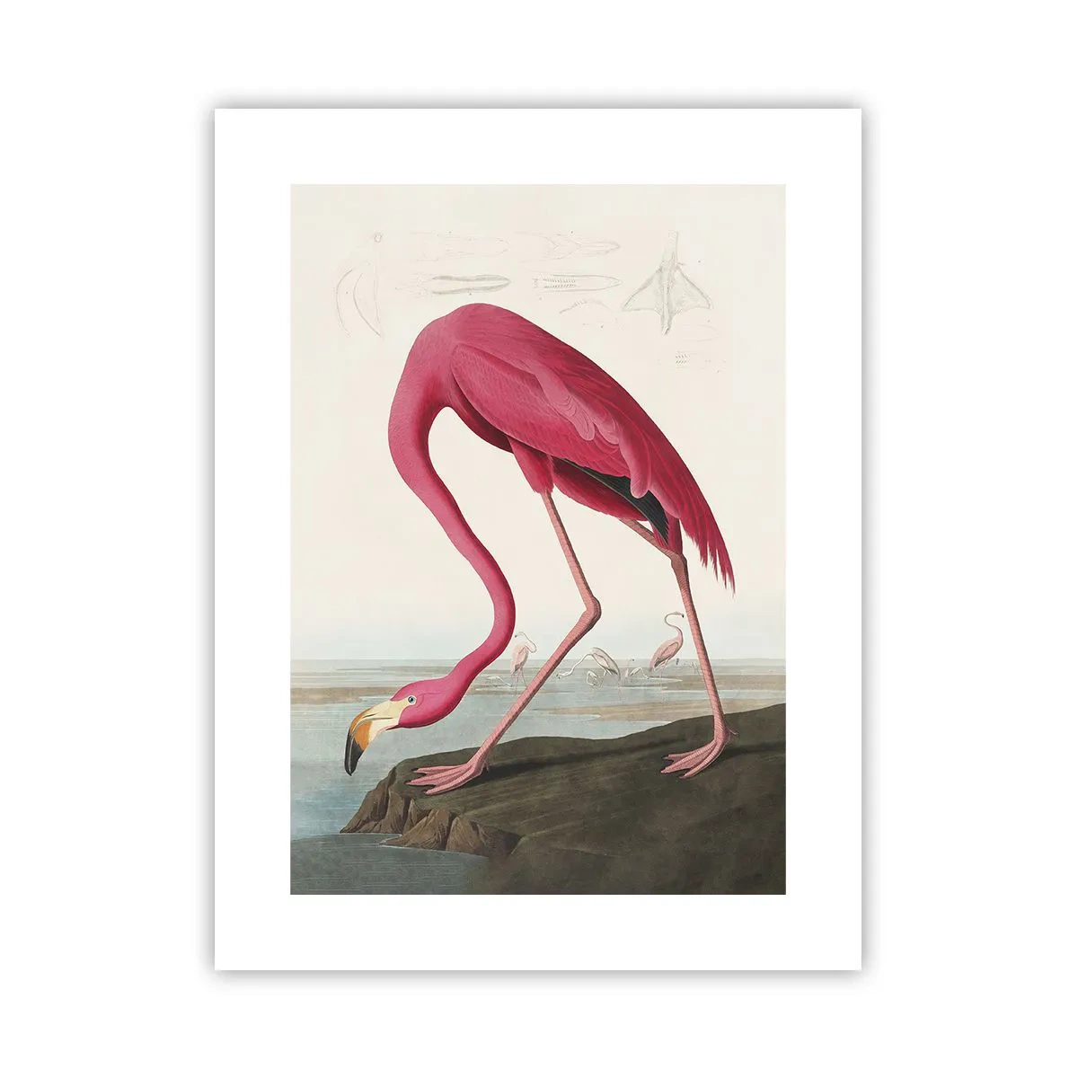 Plakát - Úžasná stvůra - 30x40 cm