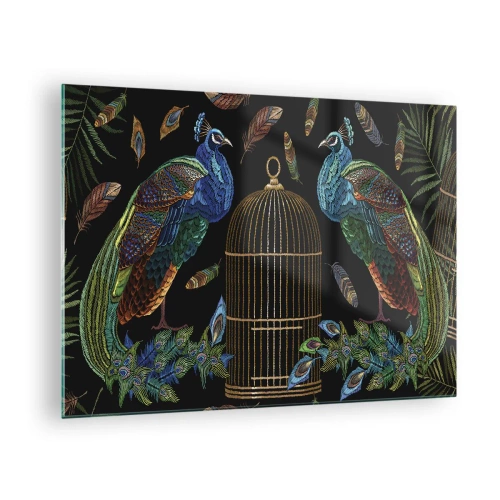 Obraz na skle - Barevné pávy a klec na černém pozadí - 70x50cm - V královském rouchu - Moderní nástěnná dekorace do obývacího pokoje a ložnice ARTTOR