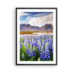 Plakát v černém rámu - Pole vlčího bobu s horami v pozadí - 50x70cm - Síla a přísnost vedle mírnosti - Moderní nástěnná dekorace do obývacího pokoje a ložnice ARTTOR