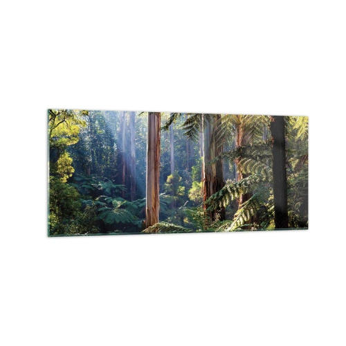 Obraz na skle - Povídka lesa - 120x50 cm