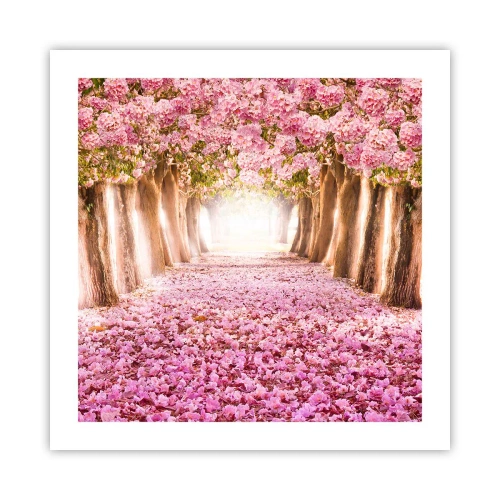 Plakát - Cesta do ráje - 50x50 cm