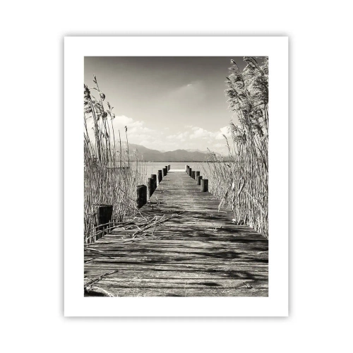 Plakát - V ústraní travin - 40x50 cm