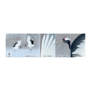Vzor Fototapety Samolepicí Deluxe Sticker - Tanec v mlze - Zima, Pták, Příroda - 100x30 cm