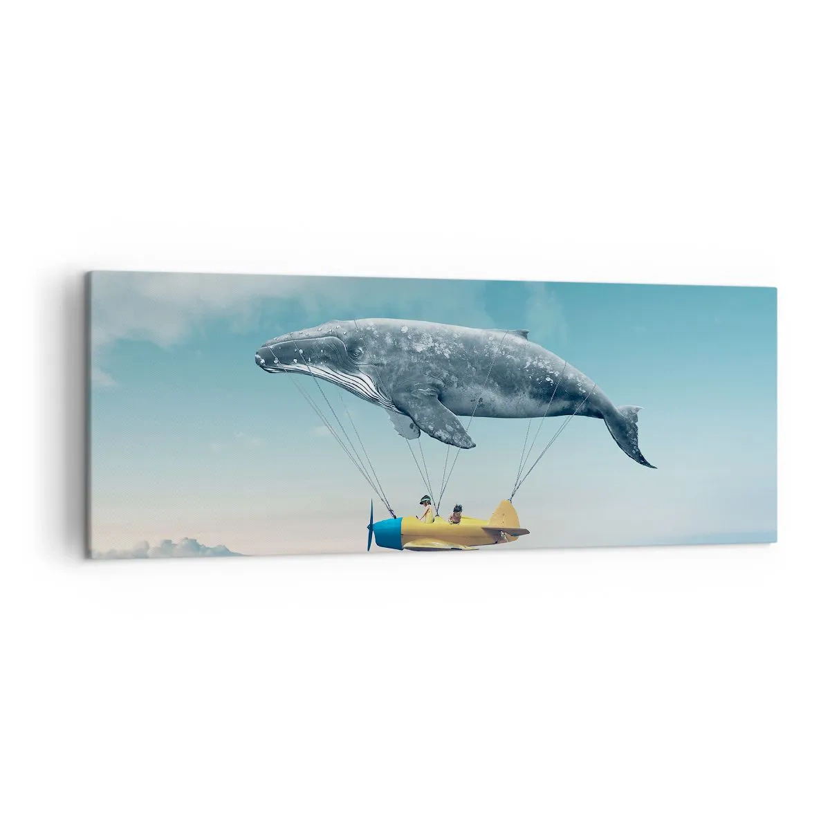 Obraz na plátně - Proč ne? - 140x50 cm