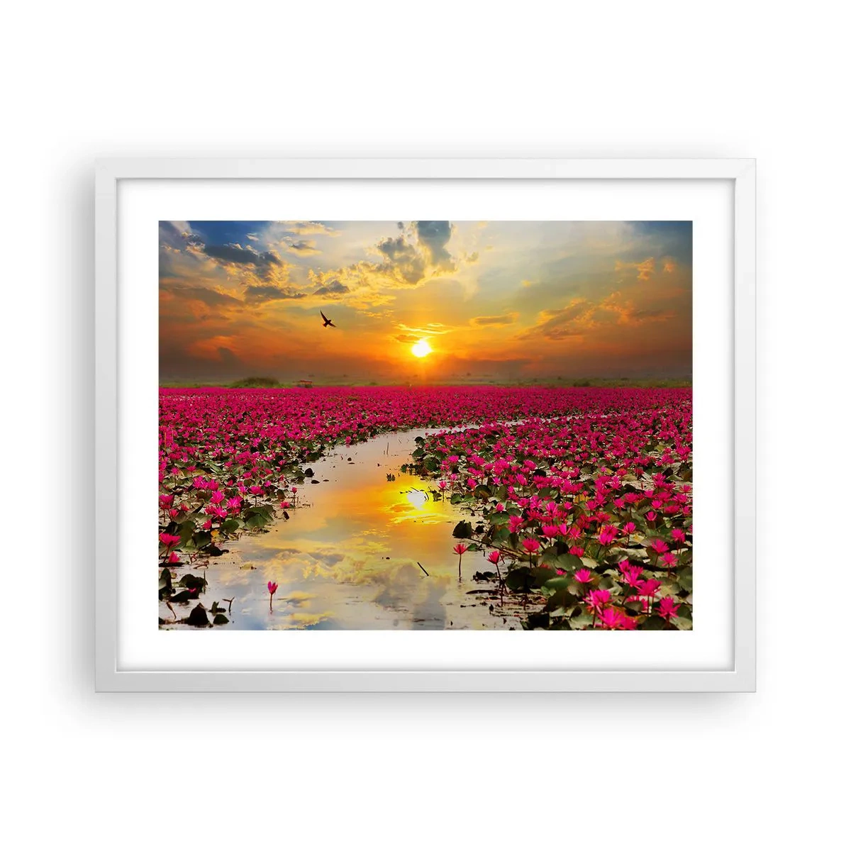 Plakát v bílém rámu - Tajemný život jezera - 50x40 cm