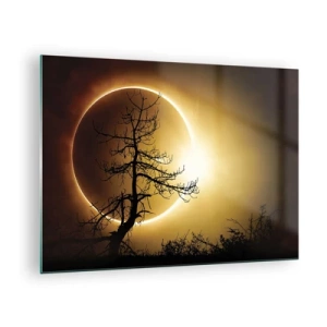 Obraz na skle - Zatmění Slunce za stromem - 70x50cm - Úplné zatmění - Moderní nástěnná dekorace do obývacího pokoje a ložnice ARTTOR