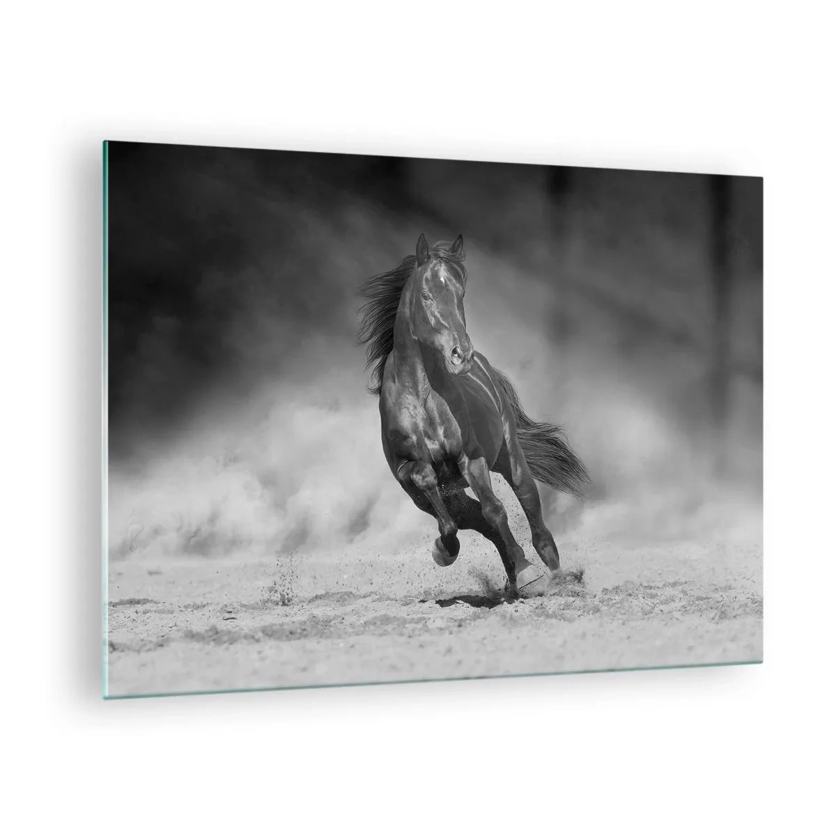 Obraz na skle - Černý kůň cválající po písku v černé a bílé. - 70x50cm - Hodné samotného emíra - Moderní nástěnná dekorace do obývacího pokoje a ložnice ARTTOR