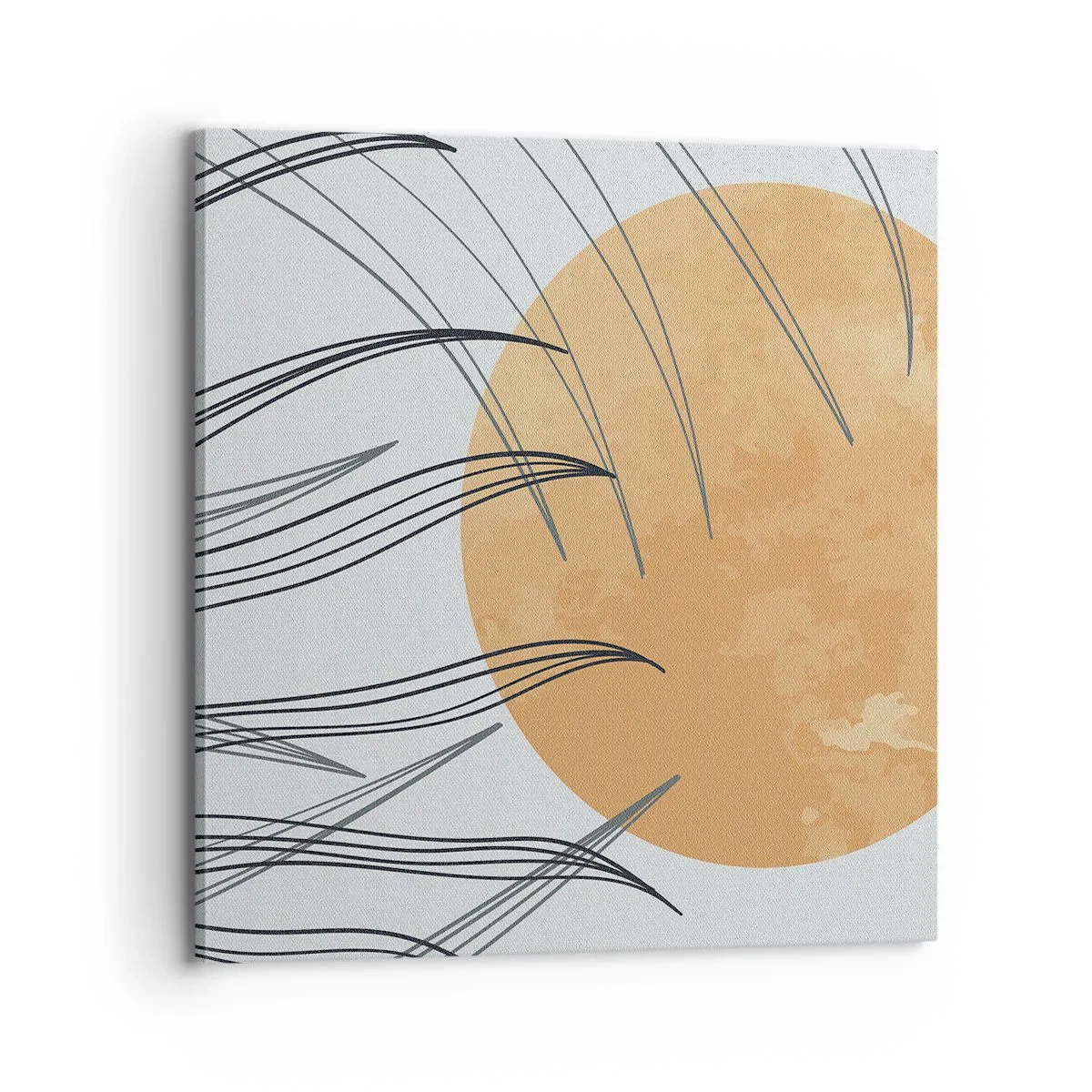 Obraz na plátně - Vždy ke slunci - 70x70 cm