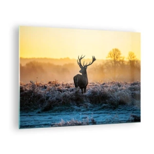 Obraz na skle - Jelen za mrazivého rána s východem slunce v pozadí - 70x50cm - Korunován na svém panství - Moderní nástěnná dekorace do obývacího pokoje a ložnice ARTTOR