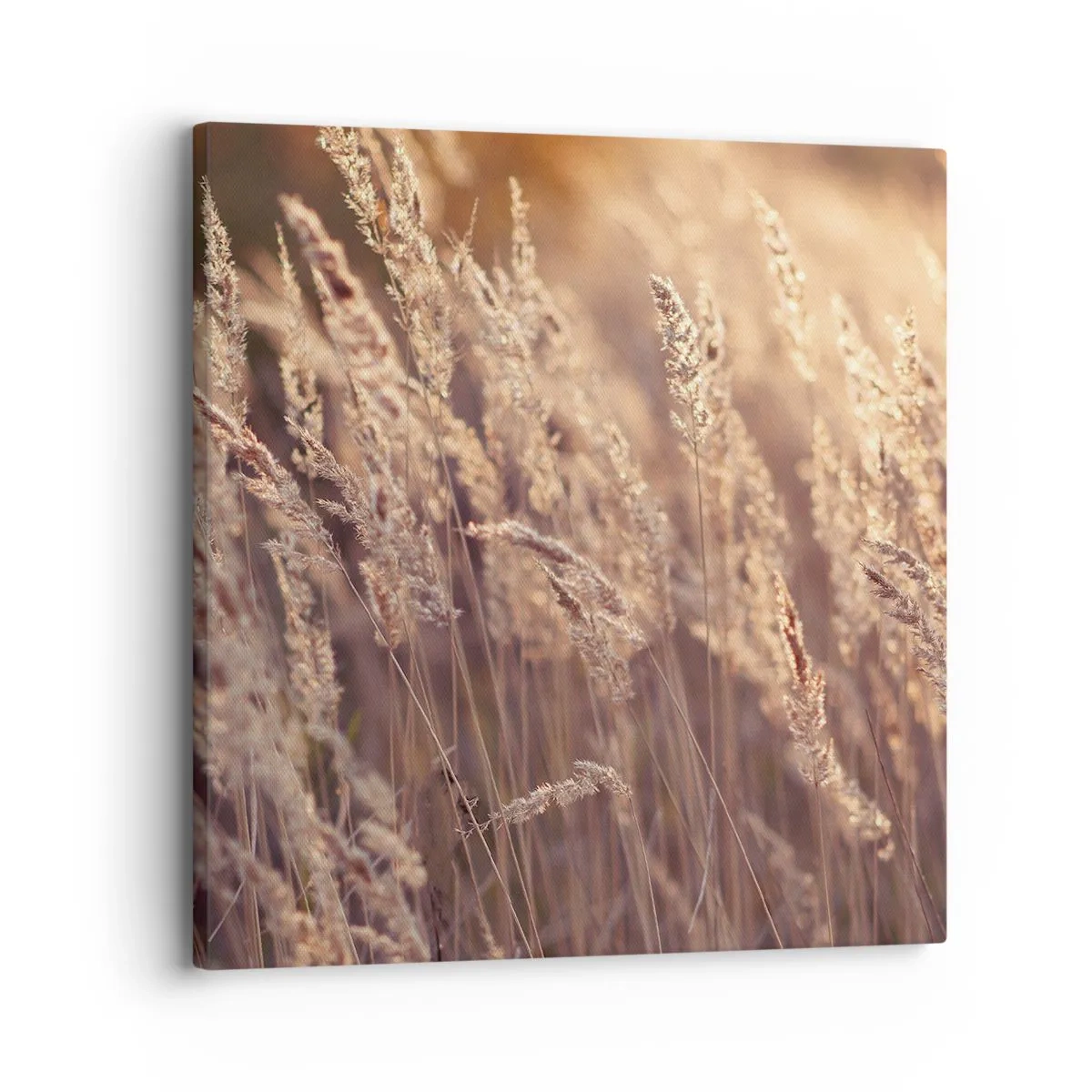 Obraz na plátně - Připraveni přivítat podzim - 30x30 cm