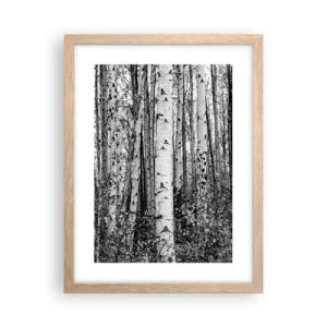 Plakát v rámu světlý dub - Březová kolonáda - 30x40 cm