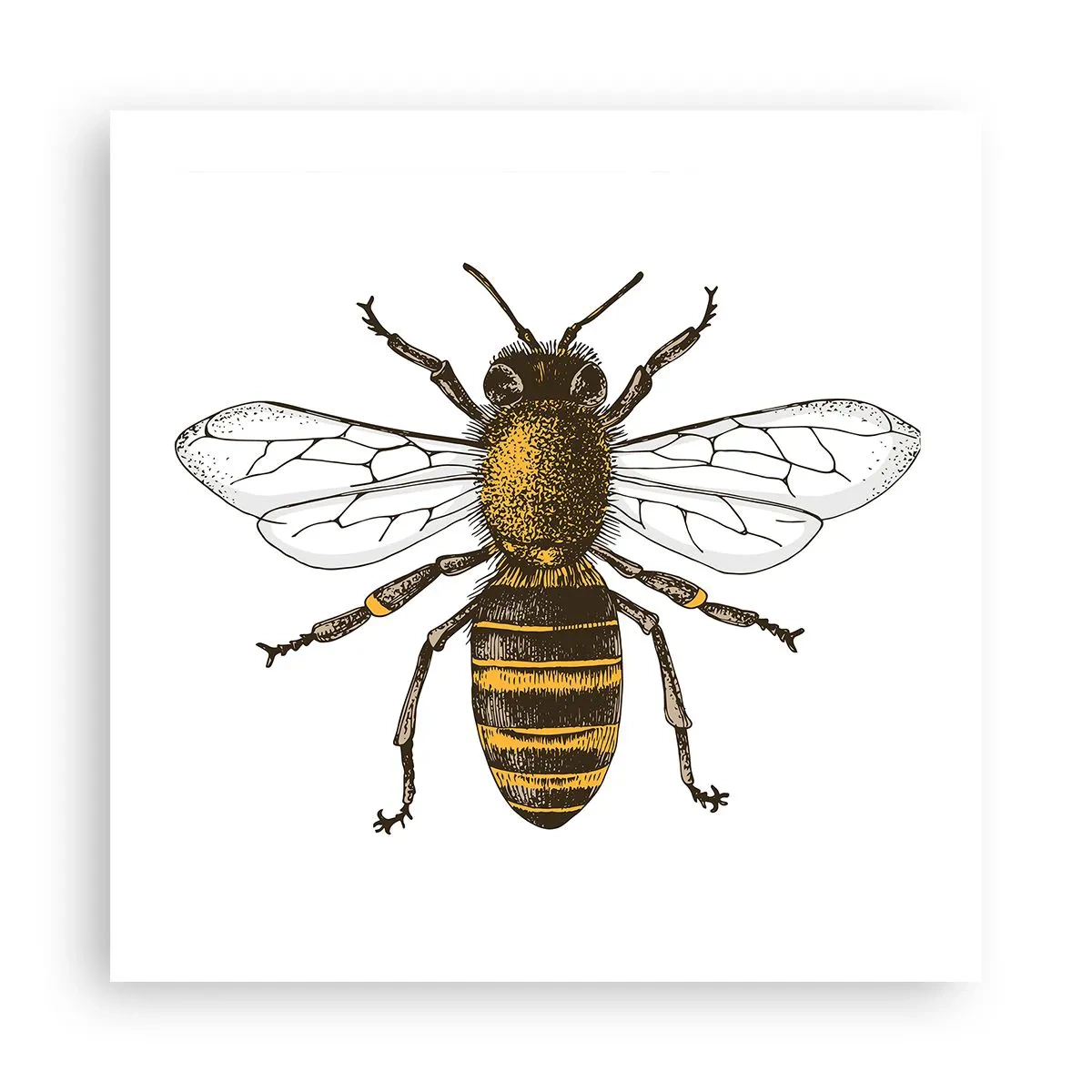 Plakát - Krásná a dobrá - 50x50 cm