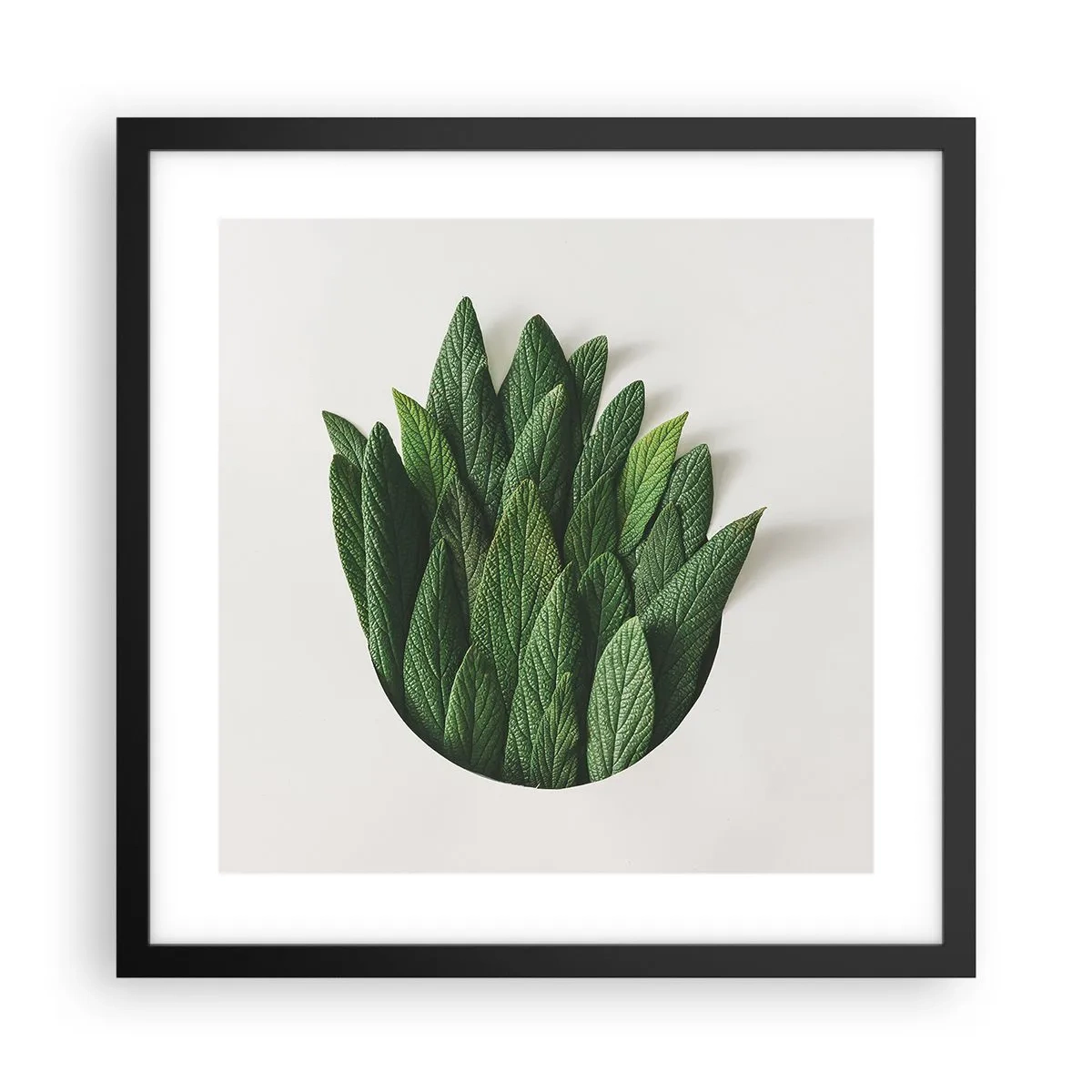 Plakát v černém rámu - Neukojitelná zvědavost - 40x40 cm