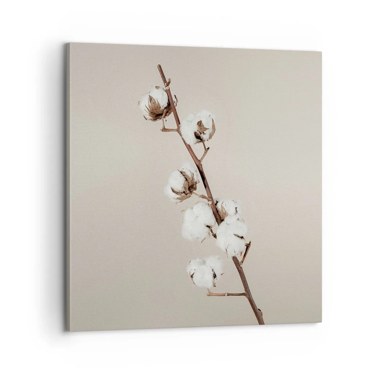 Obraz na plátně - U zdroje měkkosti - 60x60 cm