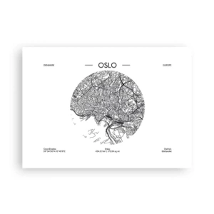 Plakát - Anatomie Osla - 70x50 cm