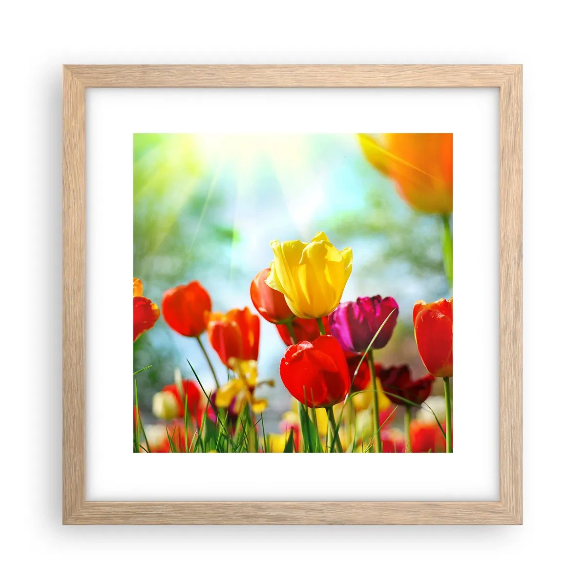 Plakát v rámu světlý dub - Všechny barvy slunce - 30x30 cm