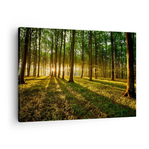 Obraz na plátně - Zapadající slunce v listnatém lese - 70x50cm - Fotografie všech jar - Moderní nástěnná dekorace do obývacího pokoje a ložnice ARTTOR
