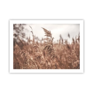 Plakát - Na polích už je podzim - 70x50 cm