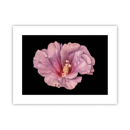 Plakát - Přímo do srdce - 40x30 cm