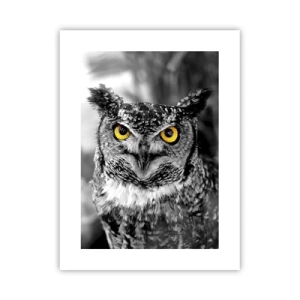 Plakát - Nic se neschová - 30x40 cm