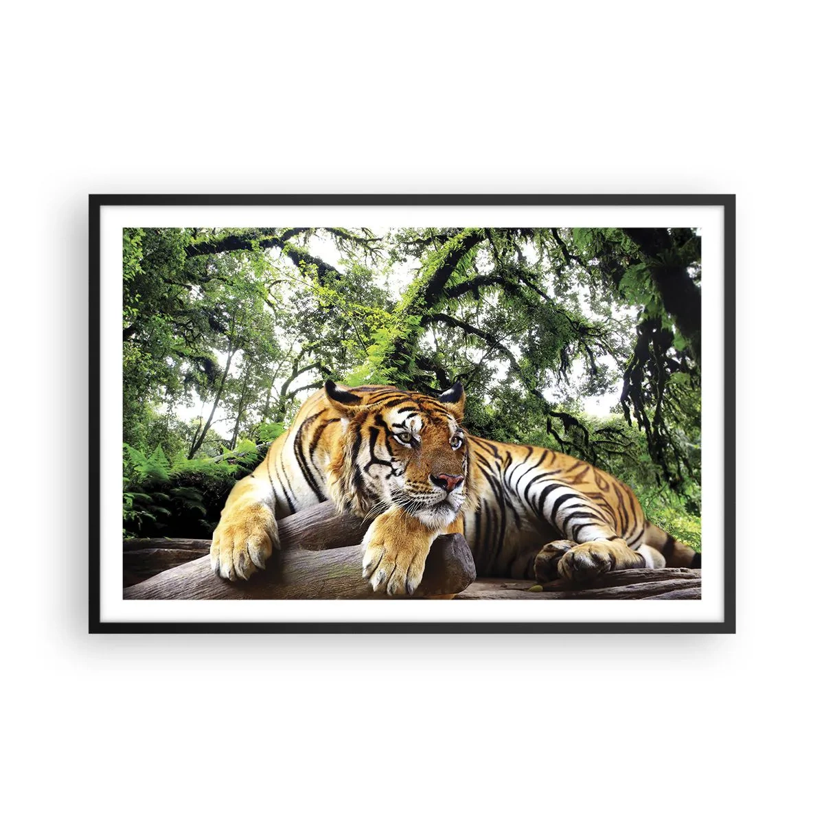 Plakát v černém rámu - S úctou - 91x61 cm