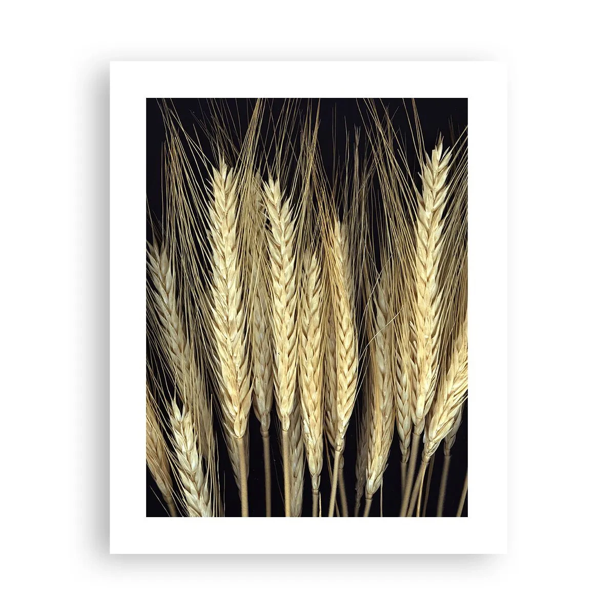 Plakát - Rustikální magie - 40x50 cm