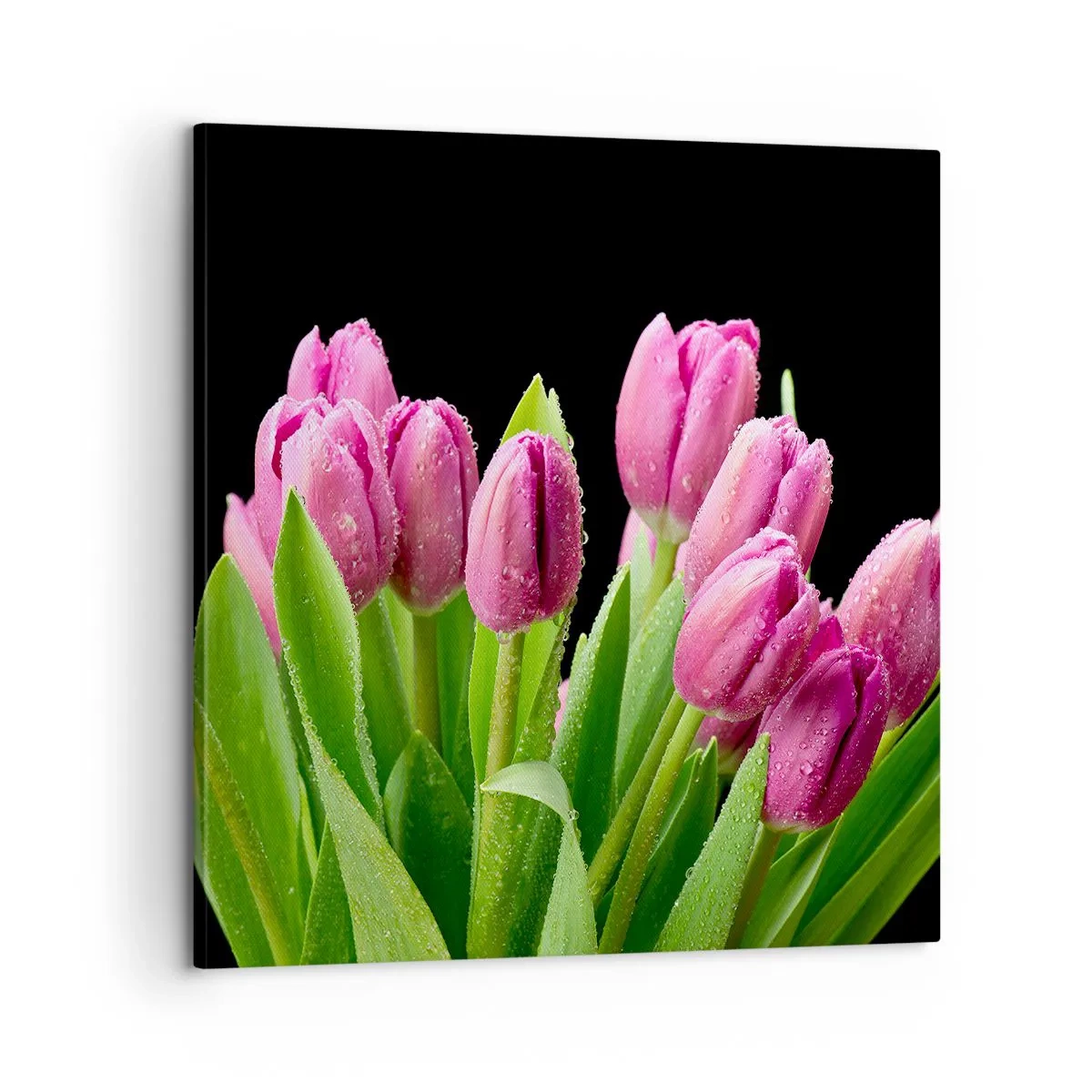 Obraz na plátně - Liliové potěšení jara - 60x60 cm