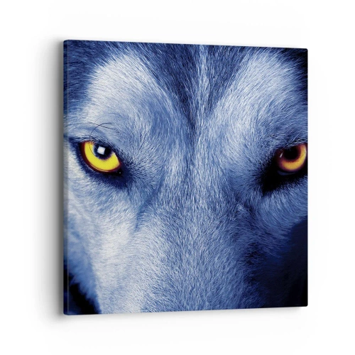 Obraz na plátně - Fascinující pohled - 40x40 cm