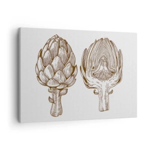 Obraz na plátně - Vintage umělecká kresba artyčoku - 70x50cm - Hodiny anatomie - Moderní nástěnná dekorace do obývacího pokoje a ložnice ARTTOR