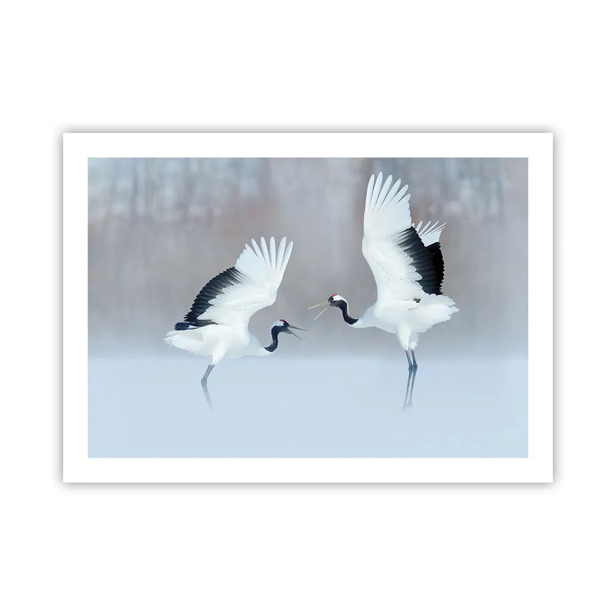 Plakát - Tanec v mlze - 70x50 cm