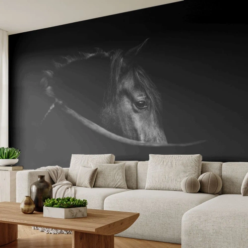 Fototapeta Premium Canvas - Černý kníže - Kůň, Zvíře, Umělecký - 500x350 cm