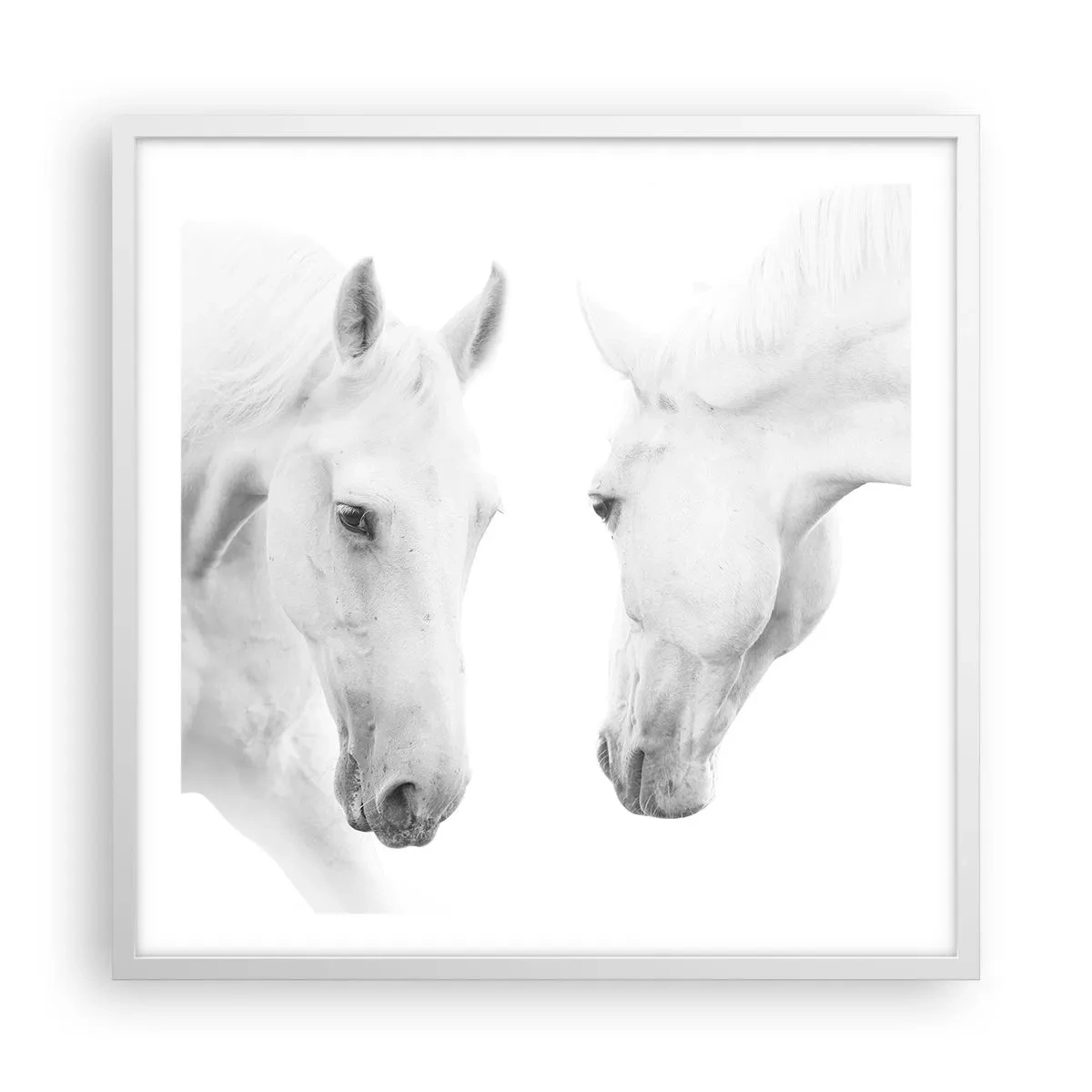 Plakát v bílém rámu - Je to přátelství…? - 60x60 cm