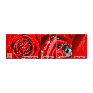 Vzor Fototapety Premium Sand - V kapkách rosy - Květiny, Červená růže, Milovat - 100x30 cm