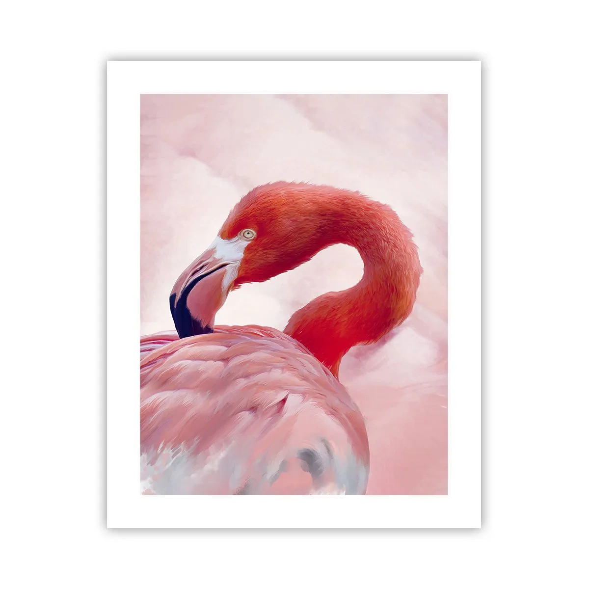 Plakát - Ptačí krása - 40x50 cm