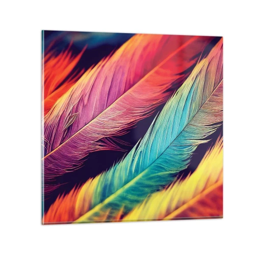 Obraz na skle - Opeřená duha - 60x60 cm